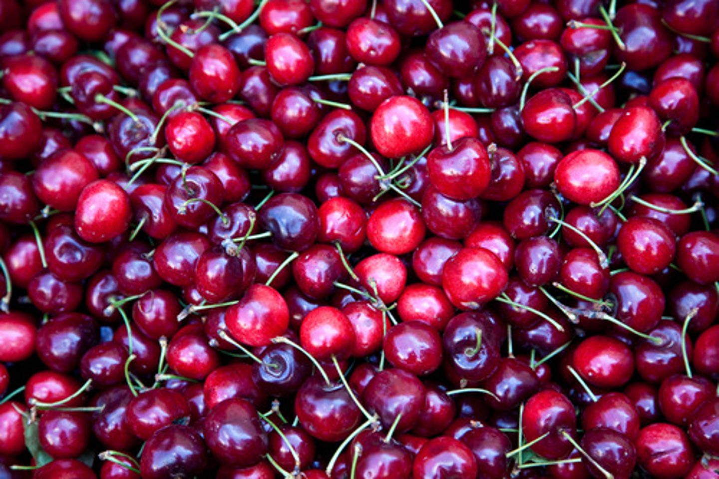 <p>cherries</p>