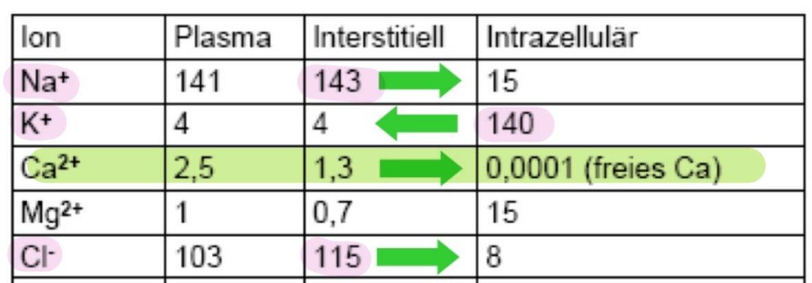 <p>Il Ca2+ ha un cambiamento di un fattore 1000</p>