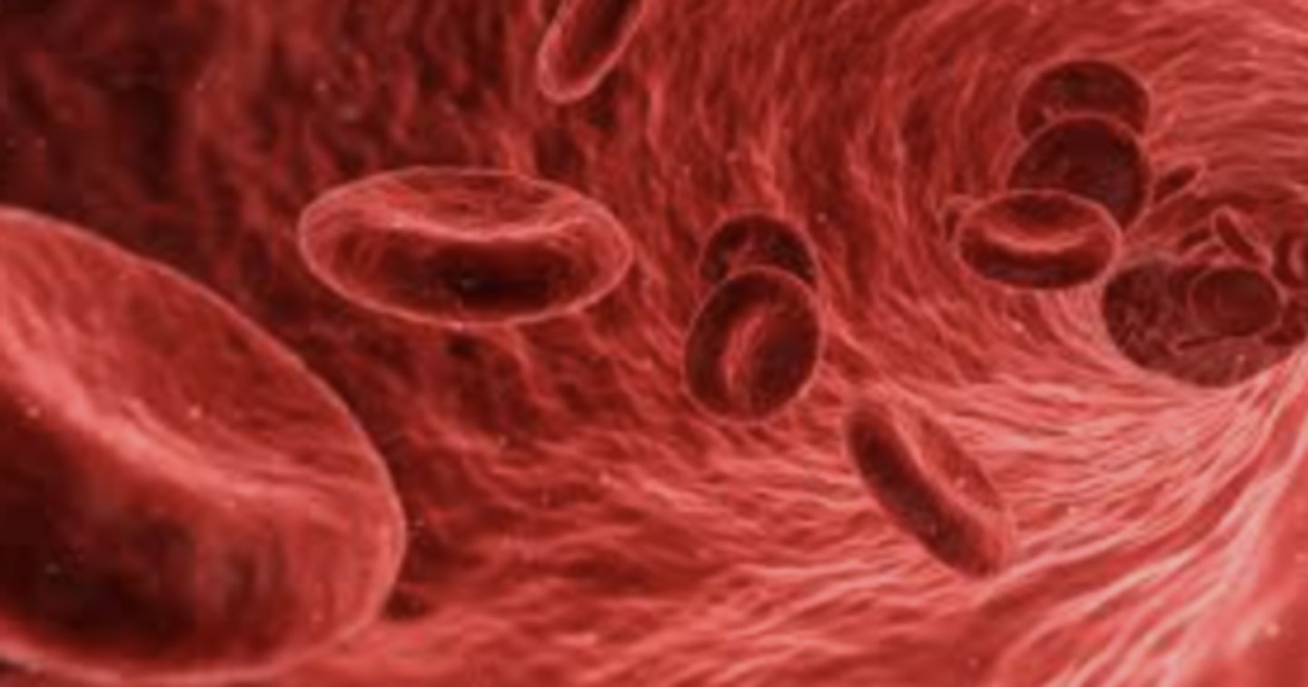 <p>carries gases, nutrients and heat to and from cells in vessels called capillaries</p>