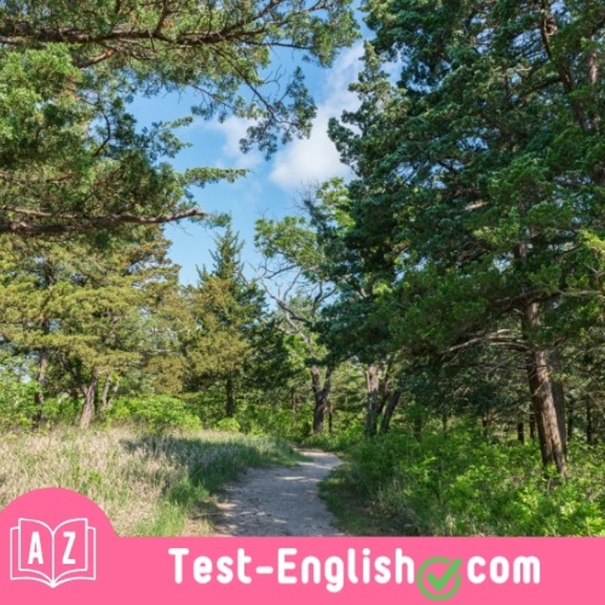 <p>We often walk the dog in the _____ near our house.</p>