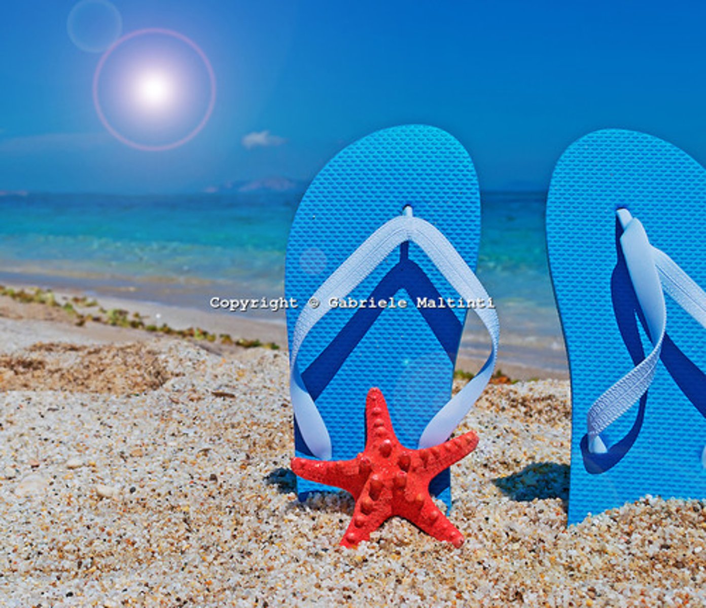 <p>las chanclas</p>