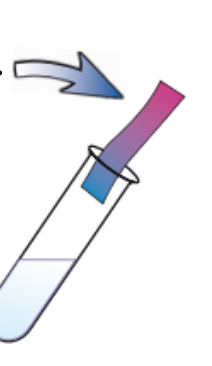 <ul><li><p>add approx 10 drops of substance you are testing to test tube</p></li><li><p>add approx 10 drops NaOH solution and shake </p></li><li><p>warm gently using a water bath </p></li><li><p>ammonia should be released - test fumes released w/ damp litmus paper</p></li><li><p>if ammonium ions present, damp litmus paper turns from <span style="color: red">red </span>→ <span style="color: blue">blue </span></p></li></ul><p></p>