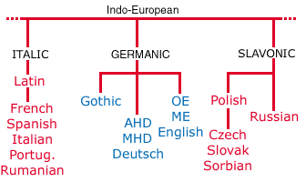 <p>A collection of languages that share a common origin from thousands of years ago. They were separated from other languages in their family and now are distinctive although related.</p><p>Tree Branch.</p><p>Romance Branch, Germanic Branch, etc.</p>