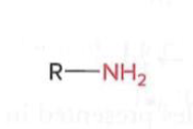 <p>A nitrogen atom bonded to two hydrogen atoms (derivative of Ammonium)</p>
