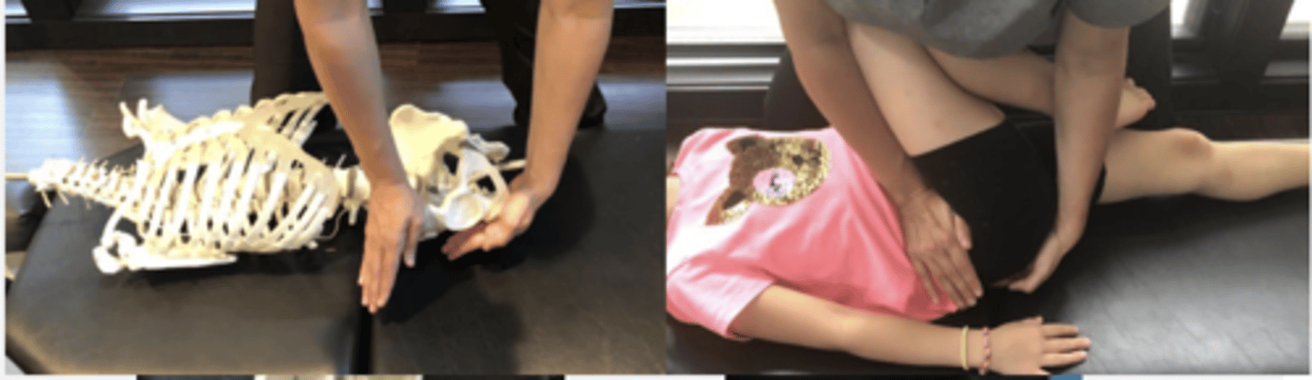 <p>PP: Supine-involved knee &amp; hip flexed with foot flat on table</p><p>DP: Square stance on uninvolved side leaning over pt with your upper body contacting the anterior aspect of pt's tibia</p><p>CH: Caudal (L) hand palmar contact of ischium</p><p>IH: Cephalic (R) hand reaches over and to place hypothenar on ASIS of the involved side</p><p>LOD: CH: P-A, I-S</p><p>IH: A-P</p>