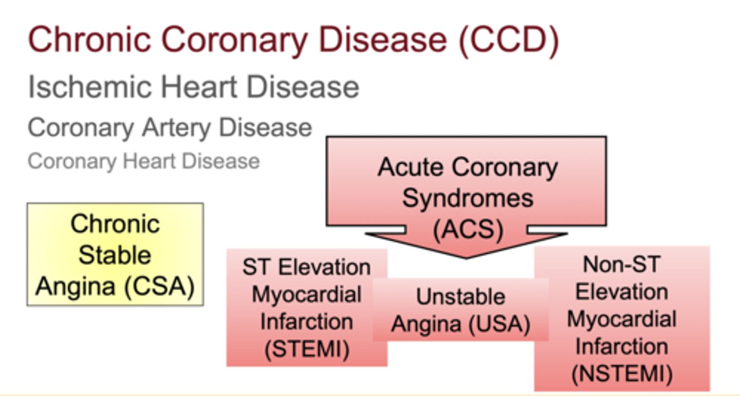 <p>Unstable Angina (USA), NSTEMI, and STEMI</p>