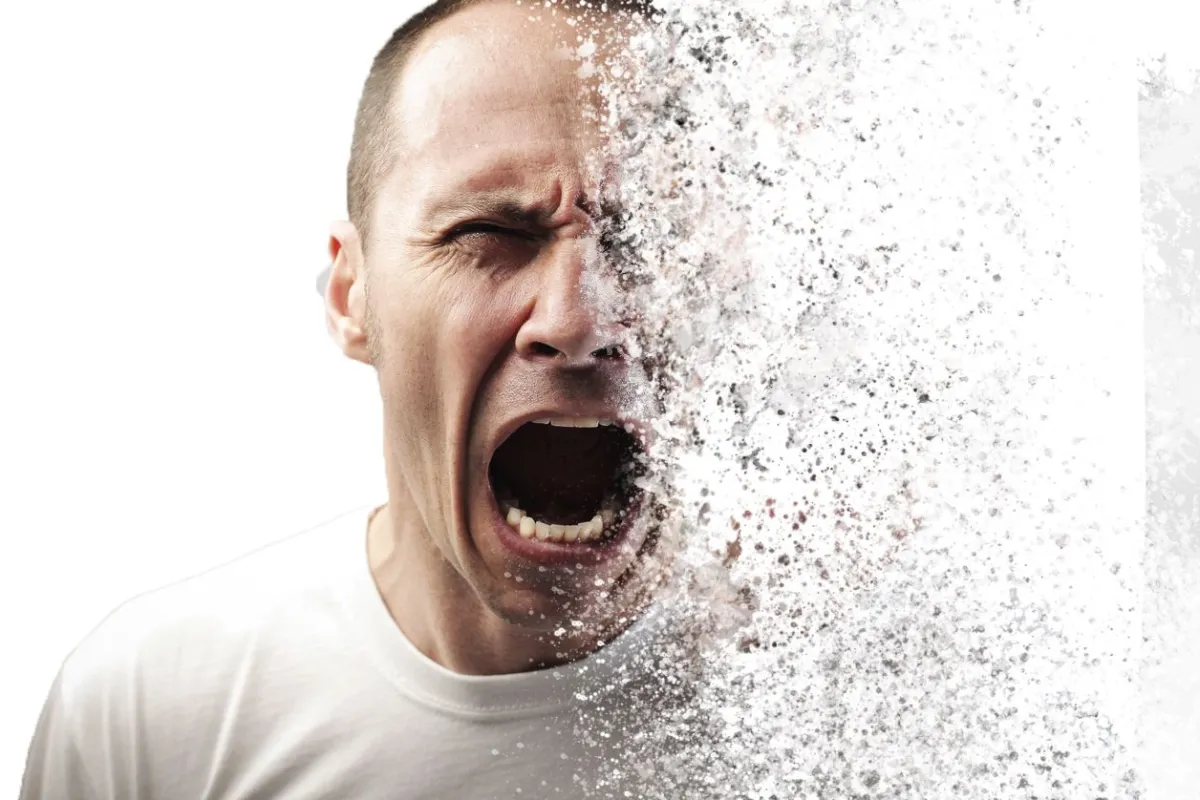 <p><span><span>to break or fall apart into small pieces or separate into constituent parts</span></span></p>