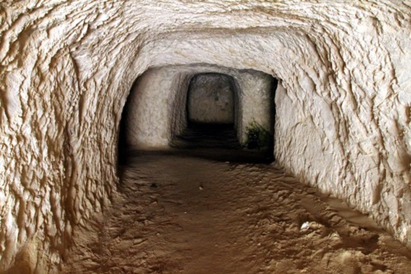 <p>은신처 (n.) the home or den of a wild animal; any hideout</p>