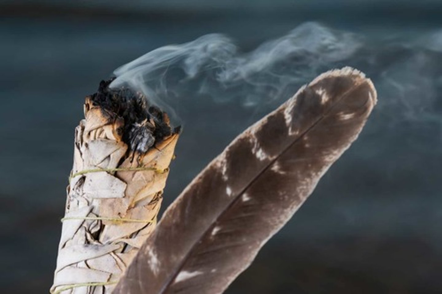 <p>This is the belief that spiritual power suffuses the world and sacred spirits can be found in all kinds of living and inanimate things--animals, plants, trees, water, and wind. This was a very common belief of many Native American tribes, despite the fact that the most striking feature of Native American society a the time of European contact was its sheer diversity. Each group had its own political system and set of religious beliefs, and North America was home to literally hundreds of mutually unintelligible languages. Nevertheless, the diverse Indian societies were similar in that their lives were steeped in religious ceremonies often related to farming and hunting. Despite this deeply spiritual culture, nearly all Europeans arriving in the New World quickly concluded that Indians were in dire need of being converted to a true, monotheistic, Christian faith.</p>