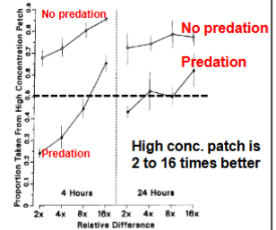 <p>Safer, less rewarding patches as long as it’s not much worse (around 12%), but some are willing to go higher patches with predator</p>