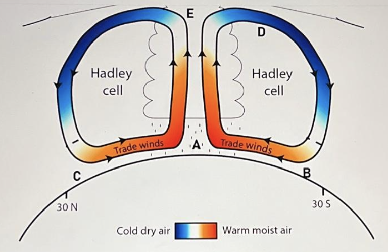 <p>A large-scale atmospheric circulation pattern that occurs in tropical regions, characterized by rising warm air at the equator and sinking cooler air at about 30 degrees latitude, leading to trade winds. </p>