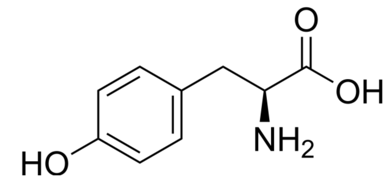 <p>Tyr, Y, aromatic and polar neutral</p>