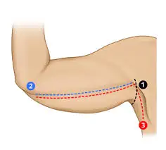 <p>Identify the feature</p>