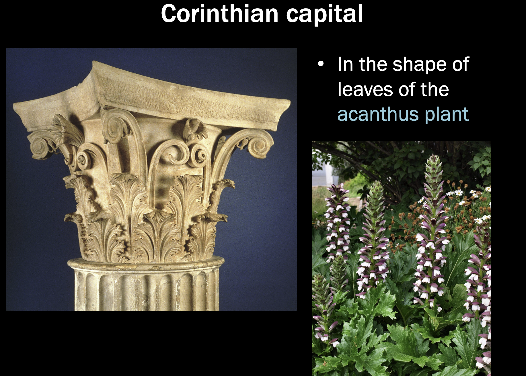 <p>Corinthian Capital</p>