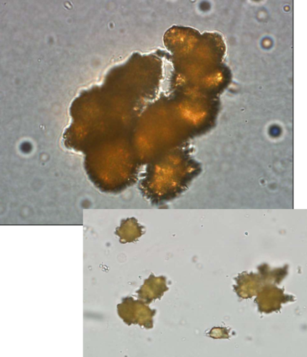 <p>What is this?</p>