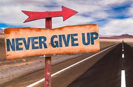 <p>Perseverance</p>