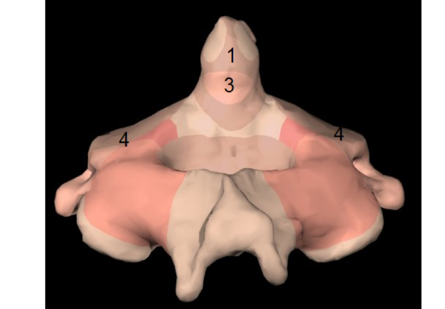 <p>Axis</p>