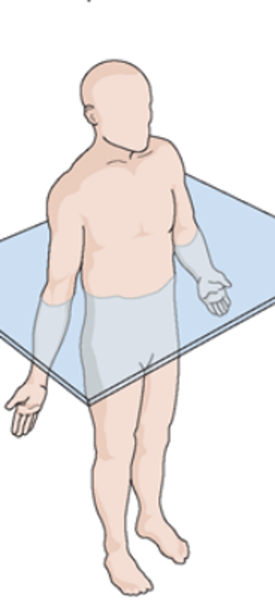 <p>planes passing through the body, dividing it into superior and inferior parts. these planes are at right angles (90 degrees) to the median, sagittal and coronal planes</p>