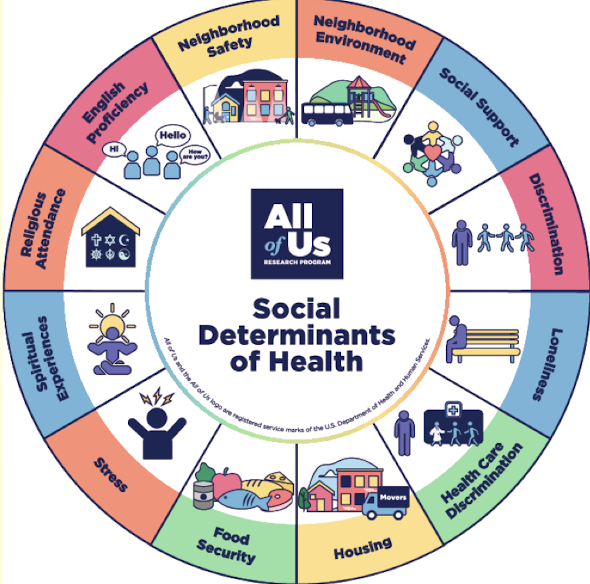 <ul><li><p>Conditions in which people are born, grown, live, work, and age</p></li><li><p>Shaped by distribution of money, power, and resources at global, national, and local levels</p></li><li><p>Address social factors that contribute to health disparities</p></li></ul><p></p>