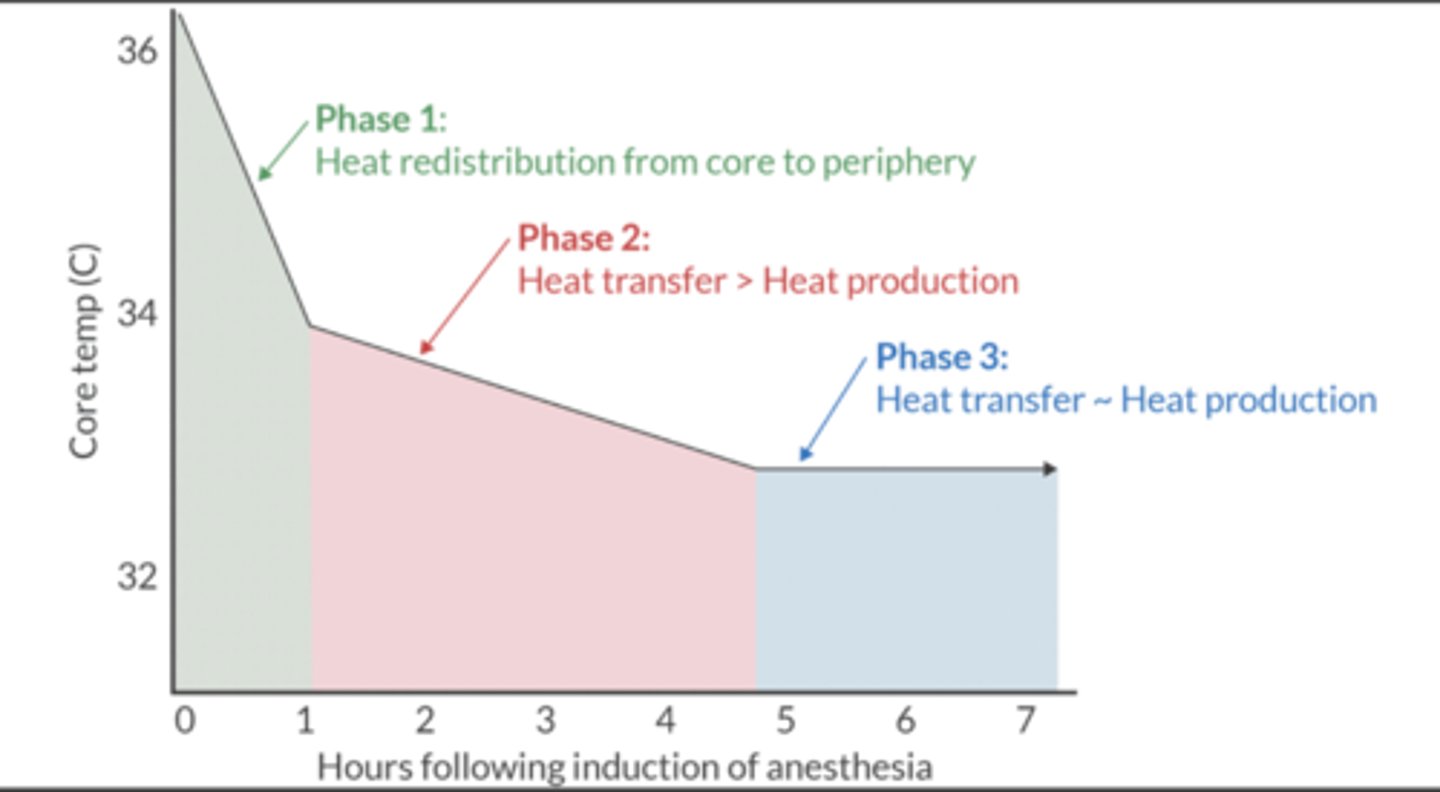 <p>When no attempts are made to maintain normothermia, heat transfer follows a triphasic curve.</p>