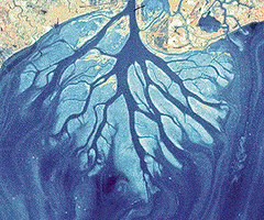 <p>a delta in which distributaries build out from the coast in a braiding pattern, with river sediment supply exceeding the rates of removal by waves and currents.</p>