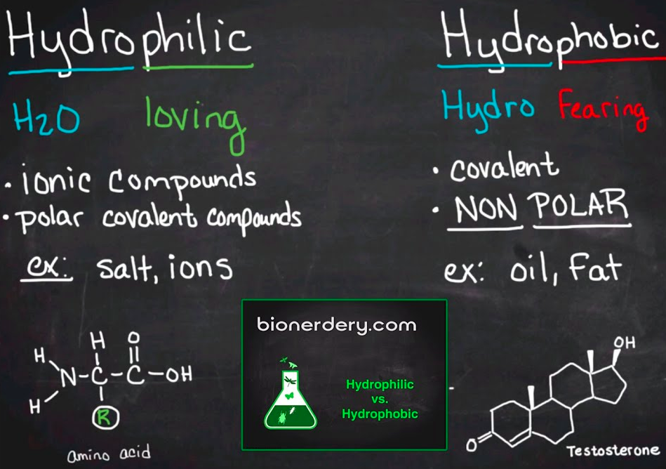 <p>polar = hydrophilic</p><p>nonpolar = hydrophobic </p>