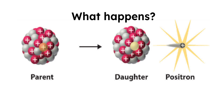 <p>0/+1 e or 0/+1 B</p><p>Too many protons, so a POSITIVE electron is ejected from the nucleus to change it to a neutron (antimatter, negative electron flips charge)</p><p>1 reactant —> 2 products</p><p>Protons decrease, neutrons increase.</p>