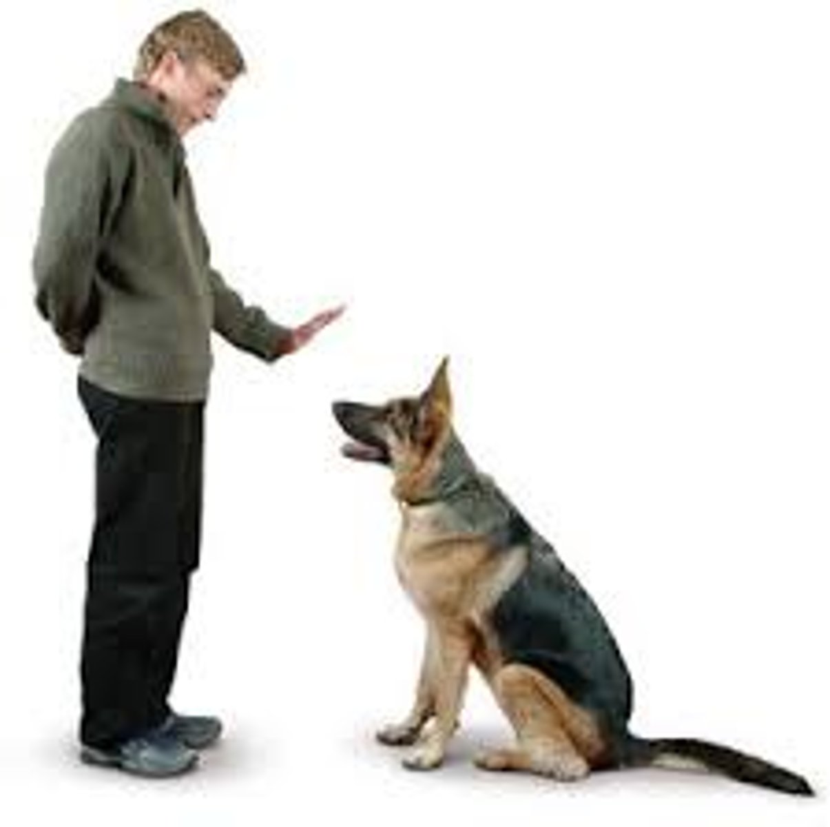 <p>Conforming to a request or demand</p>