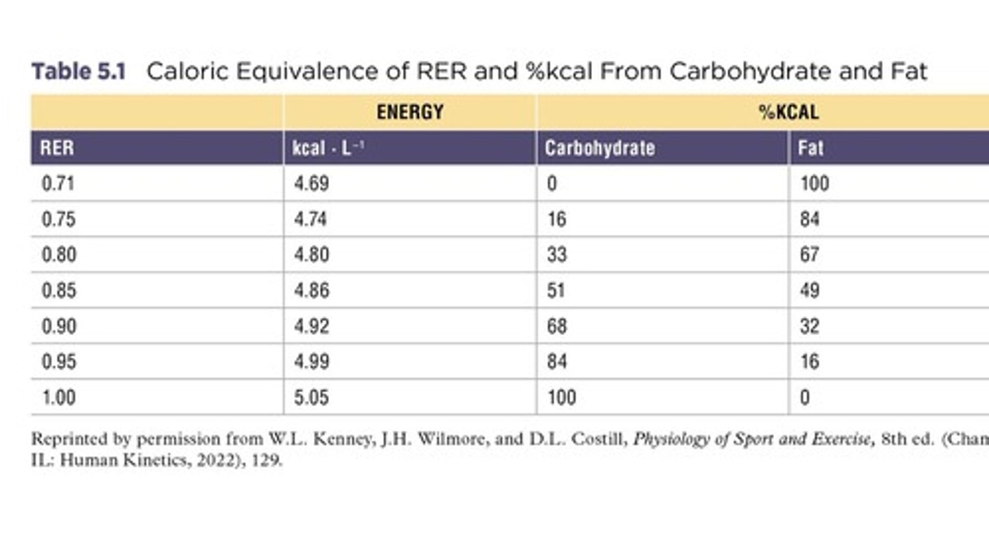 <p>Respiratory Exchange Ratio</p>