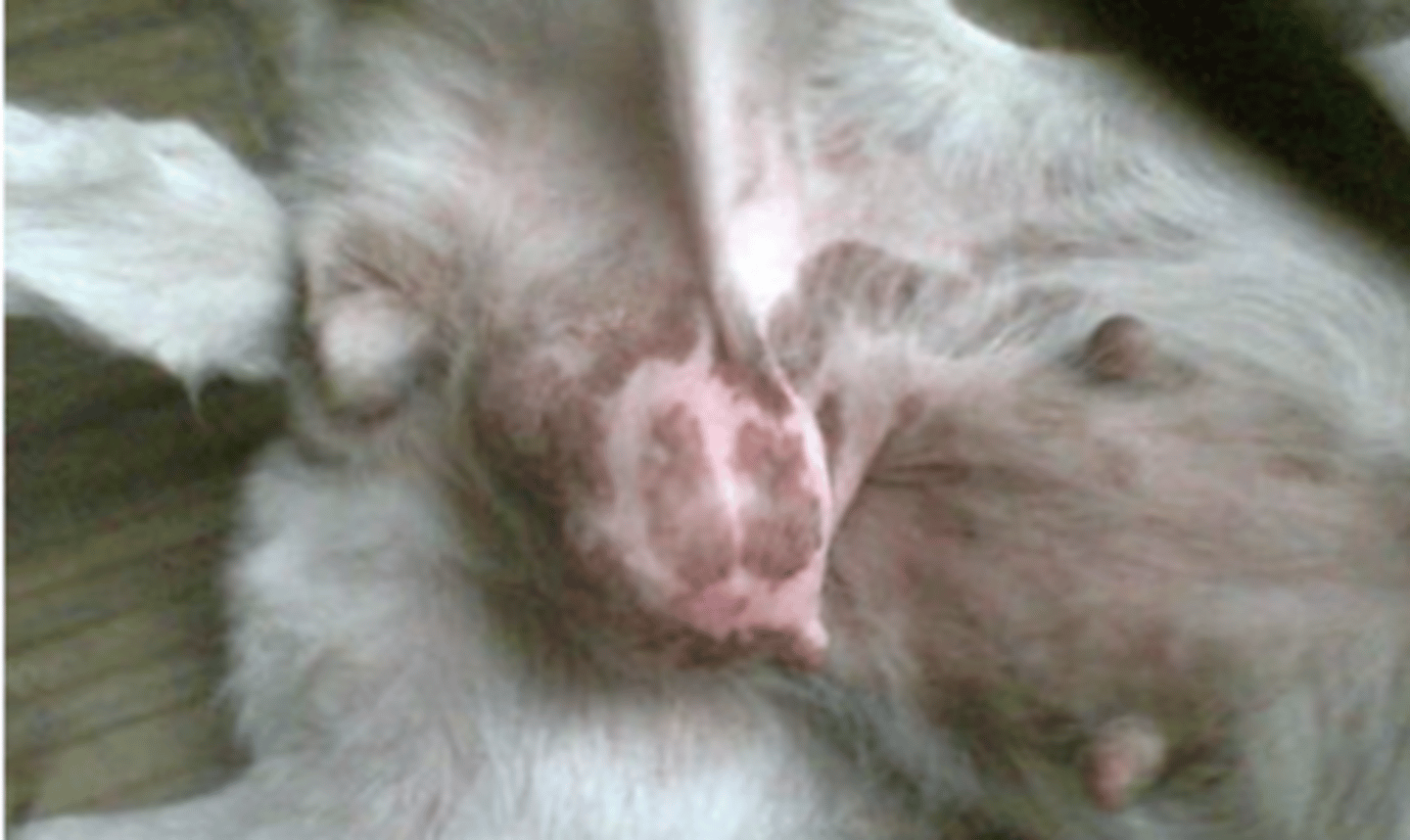 <p>what is the problem?</p>