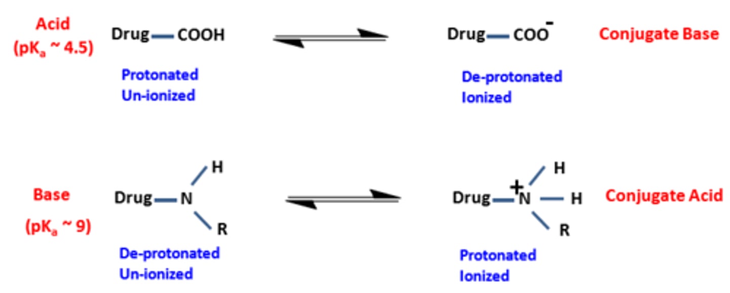 <p>the pH at which there are equal amounts of the unprotonated and protonated form of weak acid or base</p>