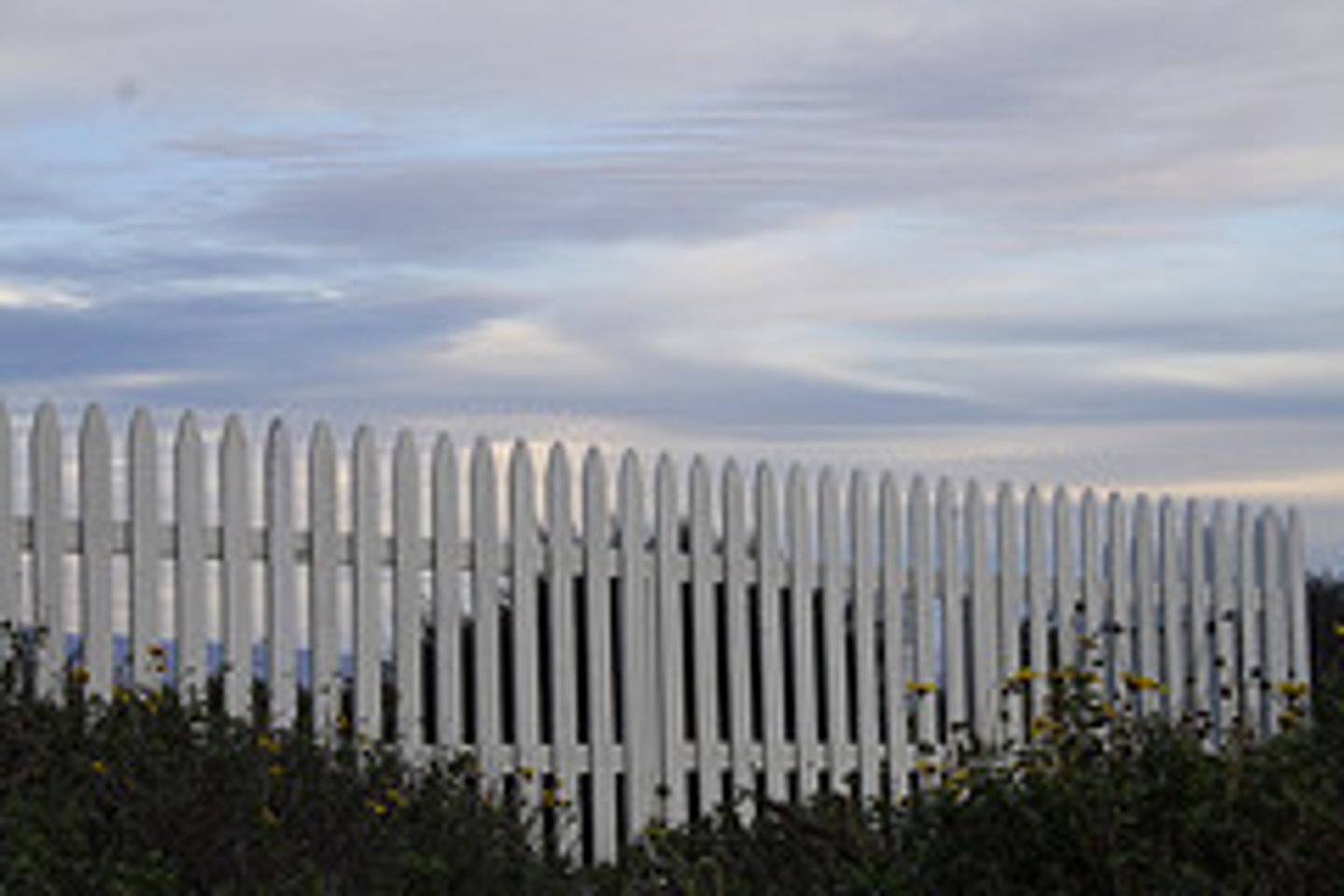 <p>fences</p><p>----------------</p><p>HOW DO THEY AFFECT THEIR MIGRATION?</p><p>- limit movement and increase mortality</p><p>----------------</p><p>WHATS BEING DONE?</p><p>- private citizens have focused on removing fences or at least establishing openings to allow for movement of the herds along the migration route</p>