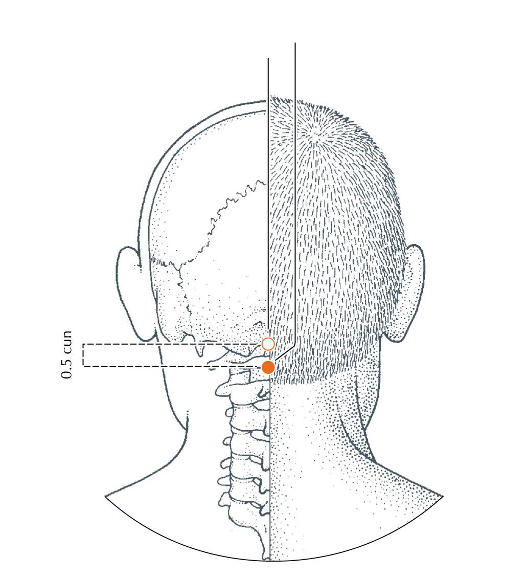<p>DU-15</p>