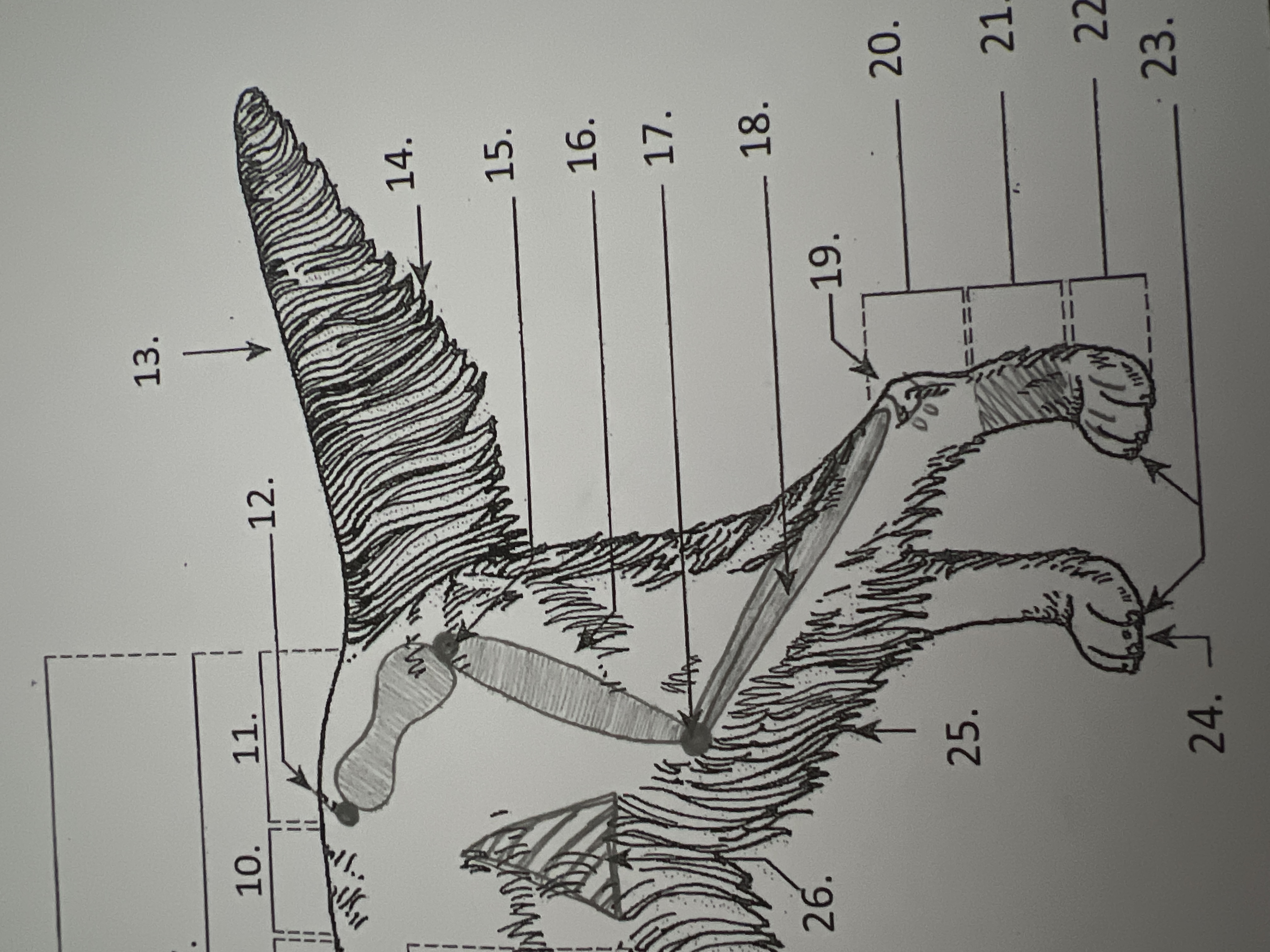 
16. \
