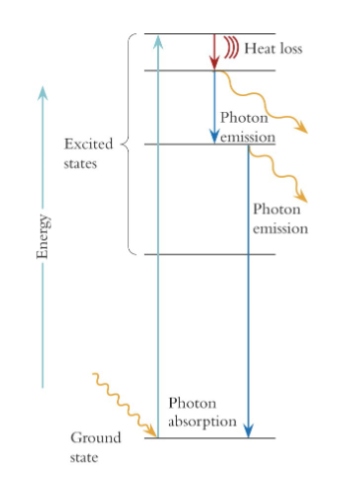 <p><span style="font-family: sans-serif">it returns to the ground state</span></p>