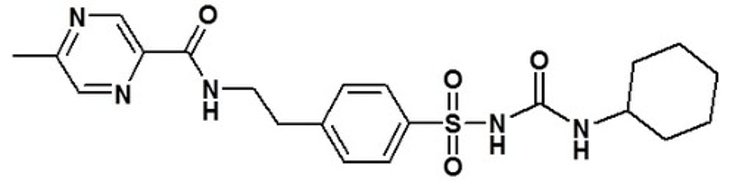 <p><strong>Brand: </strong>Glucotrol</p><p><strong>Class: </strong>Sulfonylurea</p><p><strong>MOA: </strong>Stimulates insulin release from the pancreatic beta cells; reduces glucose output from the liver; insulin sensitivity is increased at peripheral target sites</p>