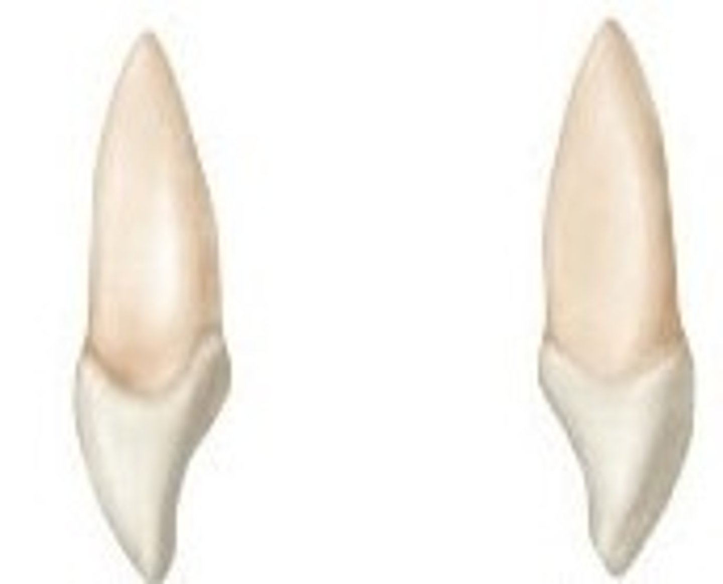 <p>True or false? The CEJ curves more on the mesial of the tooth than on the distal.</p>