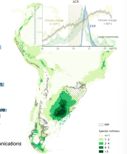 <p><span>Local species richness map of extinct large mammals and the calculated potential distribution of Fishtail projectile points (FPP), together with the temporal change in the density of both variables for all of South America and the climatic changes.&nbsp;</span><span style="color: windowtext">&nbsp;</span></p><p><span>Striped areas in the map represent the potential distribution of FPP. Local species richness of extinct large mammals varies on the map from 1 (light green) to &gt;5 (dark green).&nbsp;</span><span style="color: windowtext">&nbsp;</span></p><p><span>Relative climatic changes (temporal temperature curves) are indicated in beige (0–30° S) and grey (&gt;40° S), and the ACR (Antarctic Cold Reversal) period in dark beige (inset)</span><span style="color: windowtext">&nbsp;</span></p>