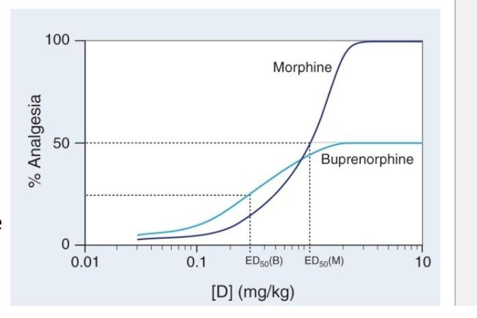 <ul><li><p>partial agonists can be <strong>more or less potent</strong> than full agonists</p></li><li><p>full agonist = morphine</p><ul><li><p>ED50 = 1 mg/kg</p></li></ul></li><li><p>partial agonist = buprenorphine</p><ul><li><p>ED 50 = 0.3 mg/kg</p></li><li><p>but does NOT receive same max response</p></li></ul></li></ul><p></p>