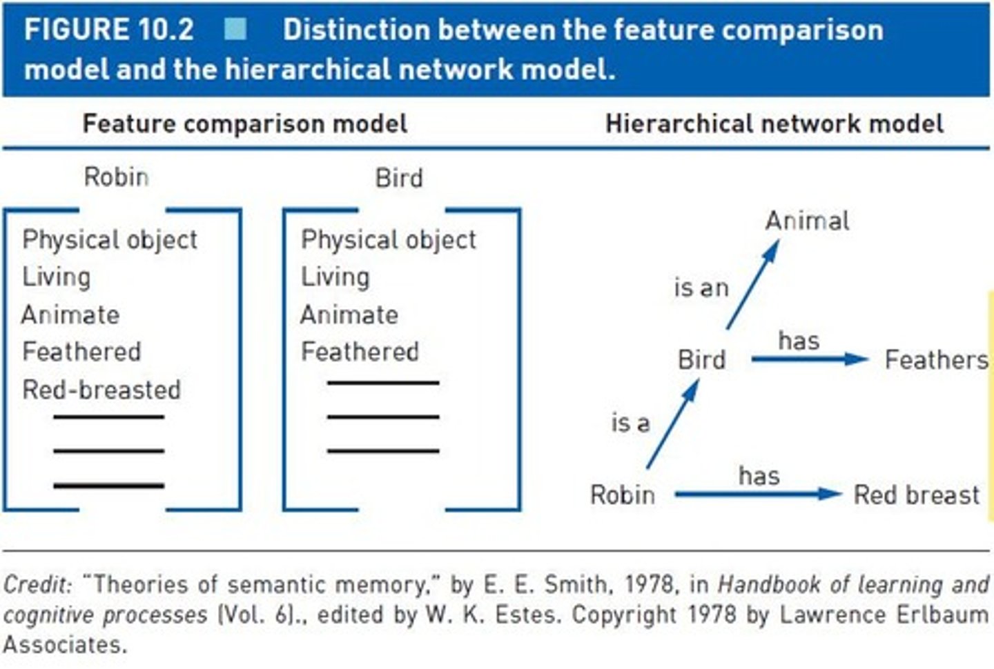 <p>The feature comparison model posits that concepts are stored in memory as a list of features and comparisons are made based on these features.</p>