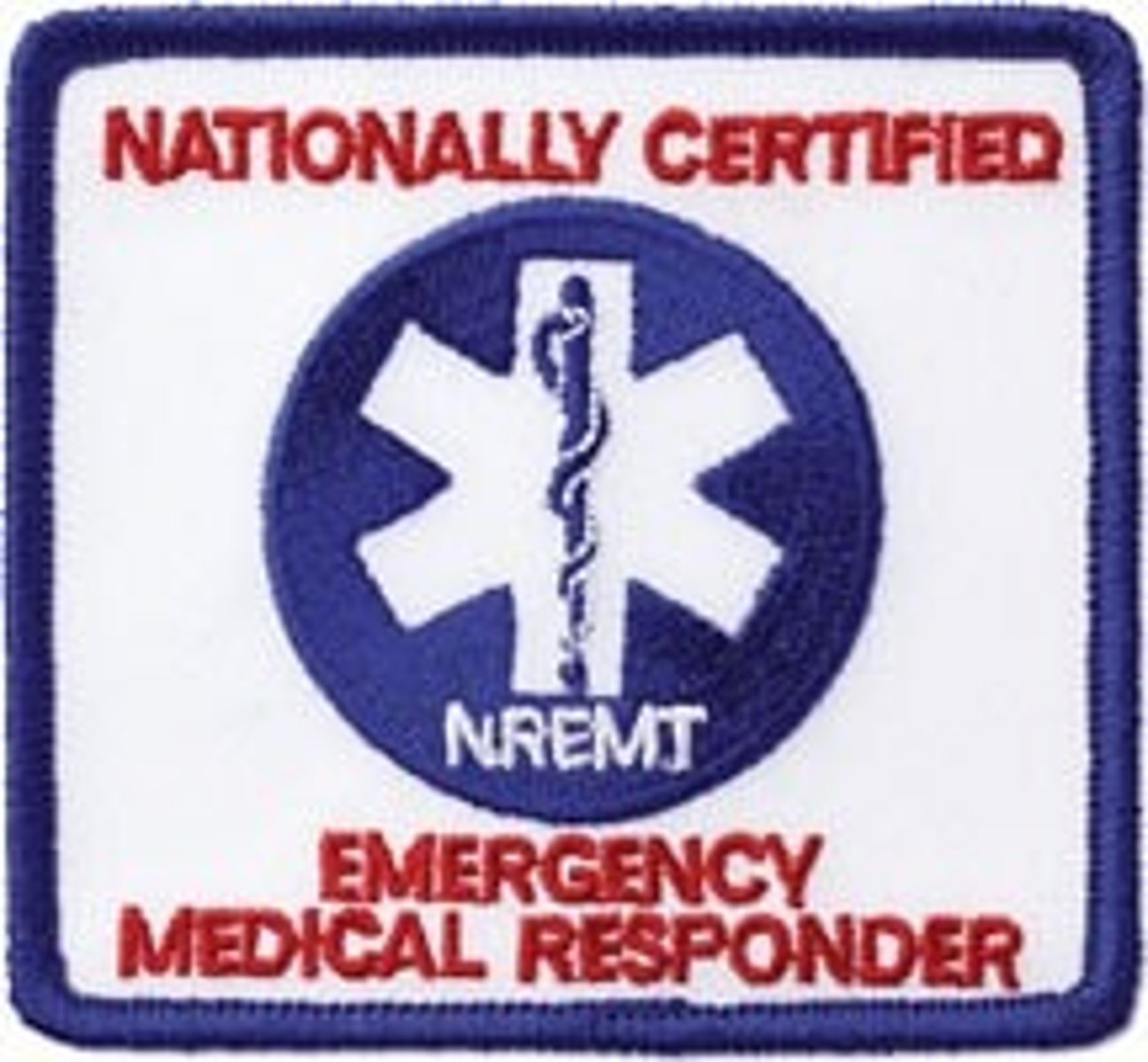 <p>- first on scene (typically fire dept.)</p><p>- only immediate care</p>