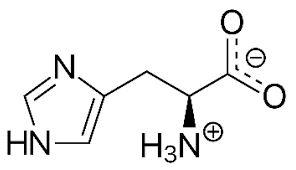 <p>This is histidine, is it polar/nonpolar/charged.</p>