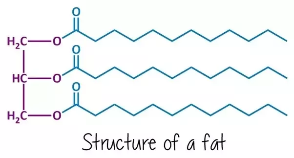 <p>Structure of lipids</p>
