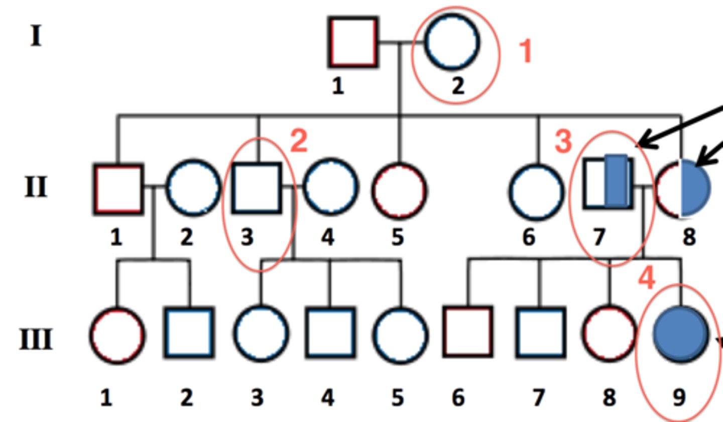 <p>In the following photo, how would you point out the individuals circled in red listed #1-4?</p><p>How would you describe each?</p>