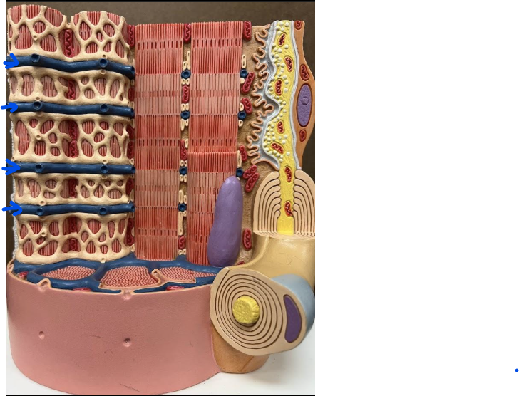 <p>What is this?</p>