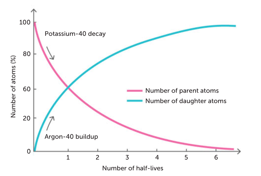 <p><span>• Decay of radioactive <strong>potassium</strong> to form <strong>calcium</strong> &amp; <strong>argon</strong></span></p><p><span>• Decay takes place at a slow, constant rate</span></p><p><span>• Determining amounts of K-40 and Ar-40 can determine age of rock</span></p><p><span>• As rock ages proportion of K-40 decreases while Ar-40 increases</span></p><p><span>• To determine the age of a fossil using this method a suitable rock of the same age as the fossil must be available (age of fossil inferred by comparing to age of rock)</span></p><p><span>• Useful for bones buried during a volcanic eruption</span></p><p></p>