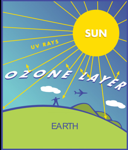 <p>ozone layer</p>