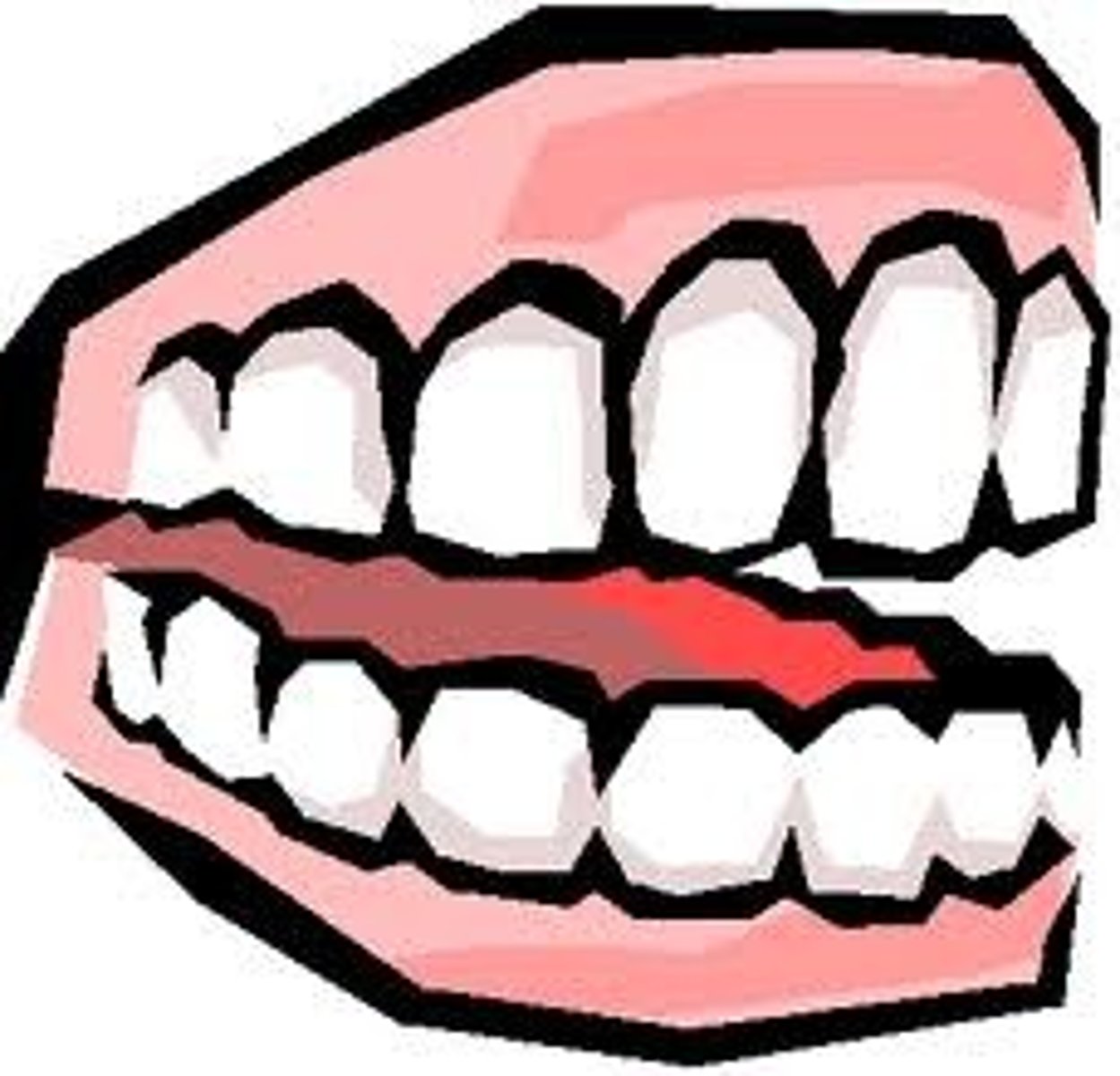 <p>the teeth</p>