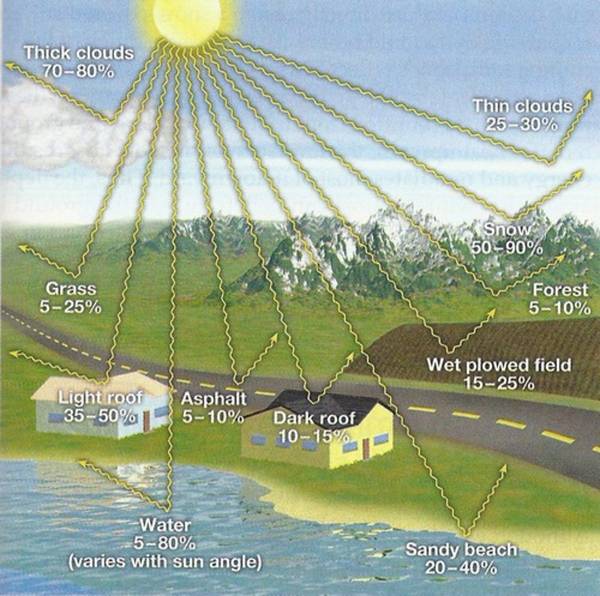 <p>dark &amp; absorbs more light (instead if reflecting)</p>