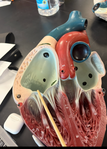 <p>What is this?</p>